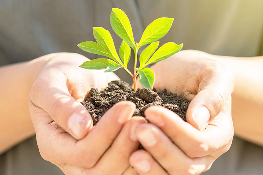 エコ・サステナブルの意味と違い｜企業がSDGsを実践する方法も