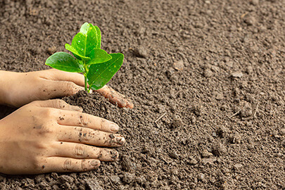 エコマークとは？取得方法とメリット・デメリットも解説