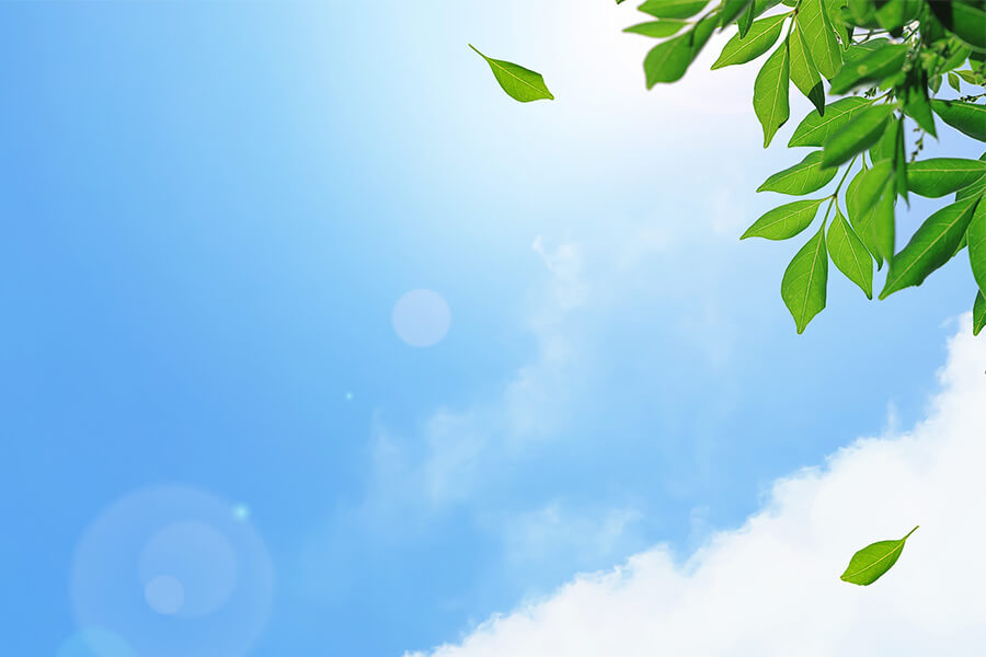 サスティナブル