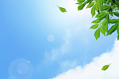 サスティナブルとSDGsの違いとは？会社として取り組むべき理由を解説