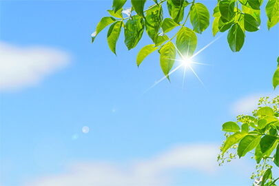 販促品にもエコ素材を！環境に配慮した素材や企業としてのメリットを紹介