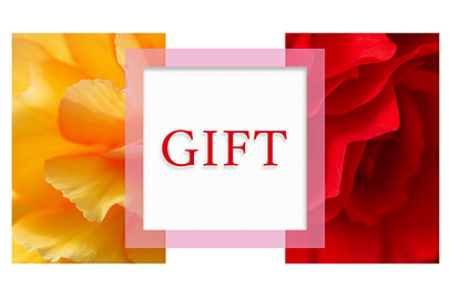 販促品と景品・賞品の違いとは？企業にもたらす効果やおすすめグッズを紹介