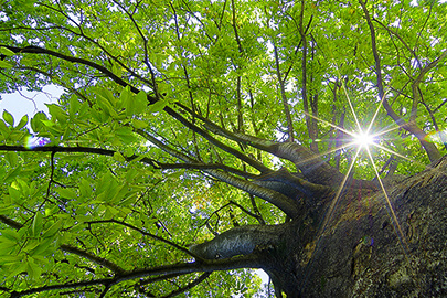 エコパッケージとは？求められる理由や具体的な取り組みを紹介