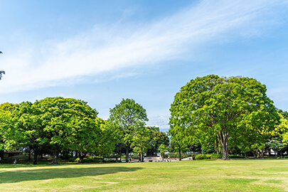 【メリット×SNS】企業のエコ活動への取り組みがもたらす未来を知ろう！