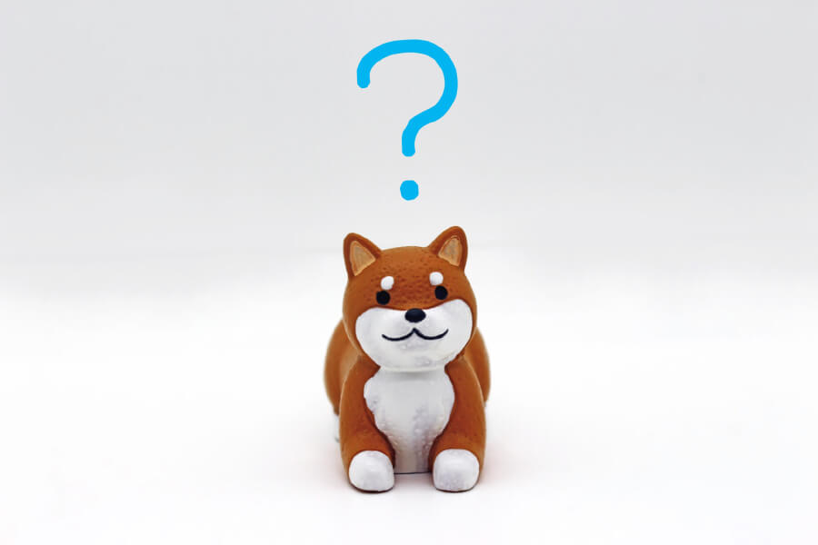 ペット用品メーカーの販促課題とは?-イメージ写真