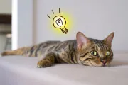 オリジナルノベルティ配布のシーン別活用例-イメージ写真