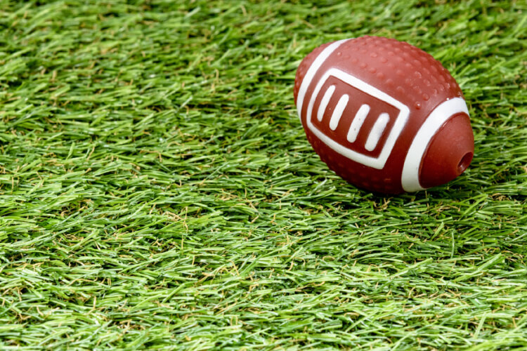 ラグビー観戦を盛り上げる応援グッズ活用法 -写真