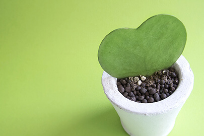 ノベルティの制作についてと企画まで行う業者について