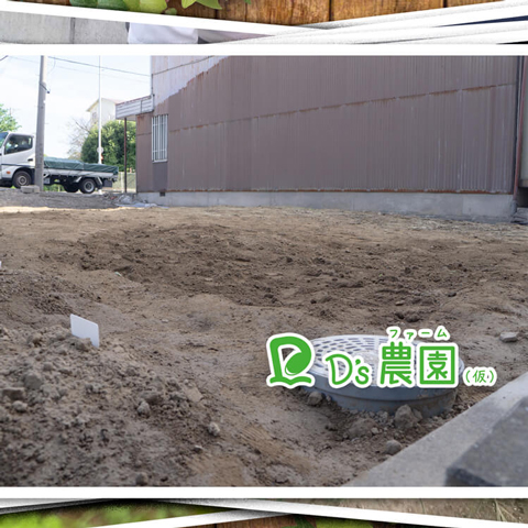 畝(うね)増築下準備