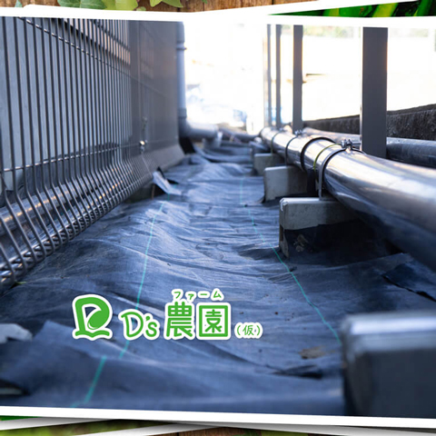 虫除けシートの設置