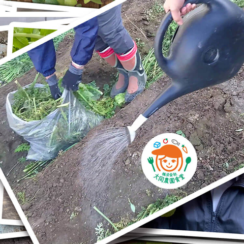 収穫が終わった畑に