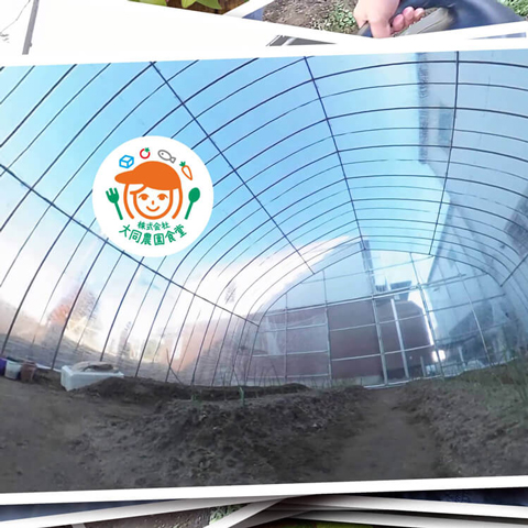 蜜柑…もとい未完