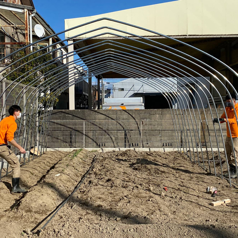 ビニールハウス組み立て