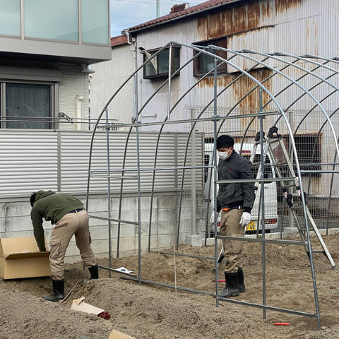 ビニールハウス組み立て