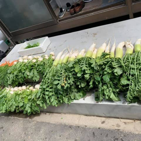 大根、カブ、人参