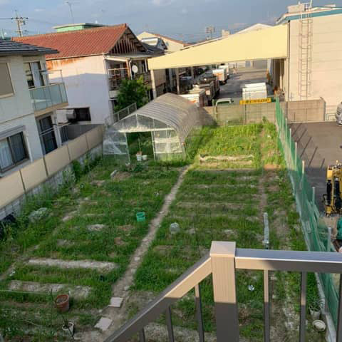 緑に覆われた畑