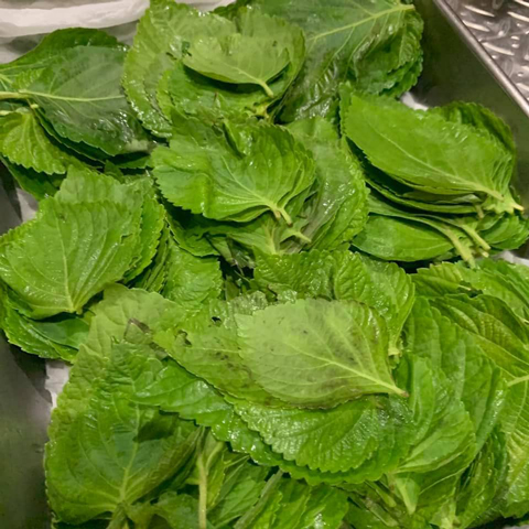 食堂のパネルに!