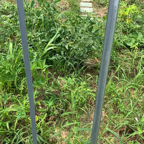 どこにウネがあるのか