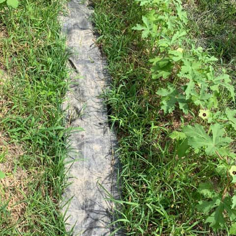 どこにウネがあるのか