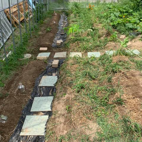 どこにウネがあるのか