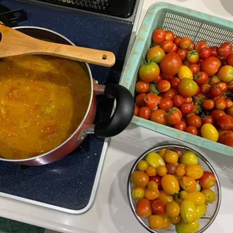 ミニトマト尽くし