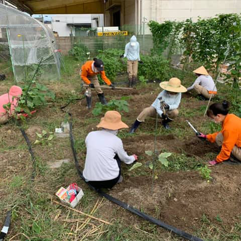 スーパーガールズ