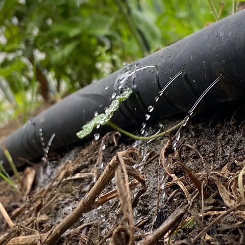水まきシステム完成!