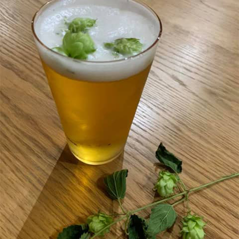 ホップの花実でビール