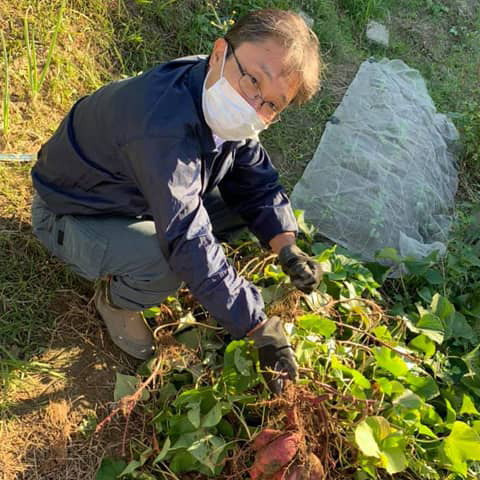 芋掘りに熱中