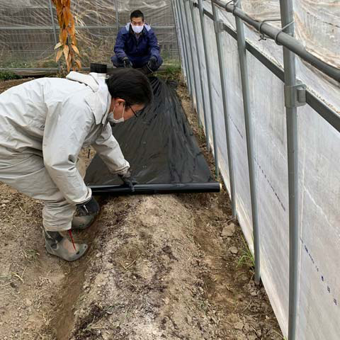 ビニールシートで覆う