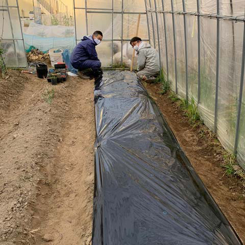 ビニールシートで覆う