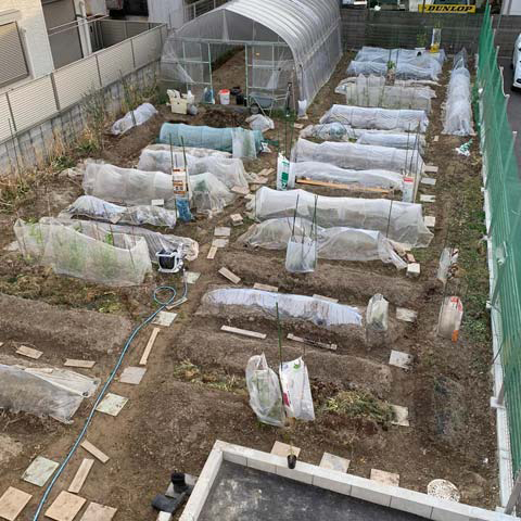 ビニールハウス