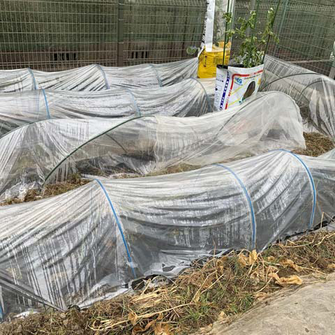 ビニールハウス