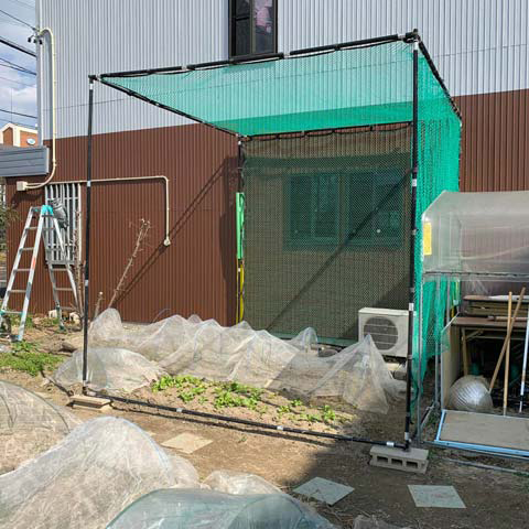 ゴルフ用練習ネットを畑で再利用