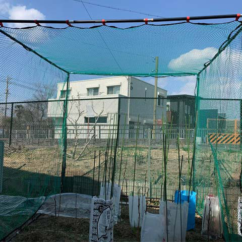 ゴルフ練習ネットを畑に