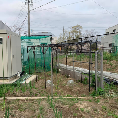 組み立て式の果実棚