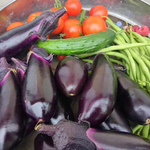 密かに増設された水耕栽培ハウス