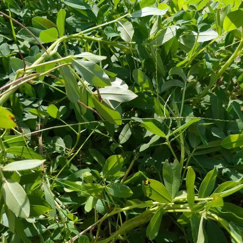 少し早いかなと思いましたが...