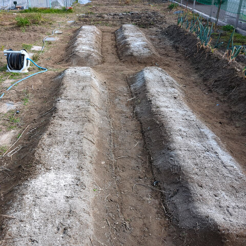 整然と仕上がった新しい畝にまさかの...