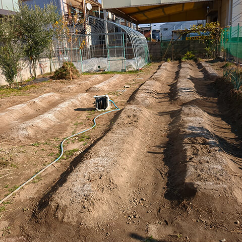 新年最初のブログにあたり