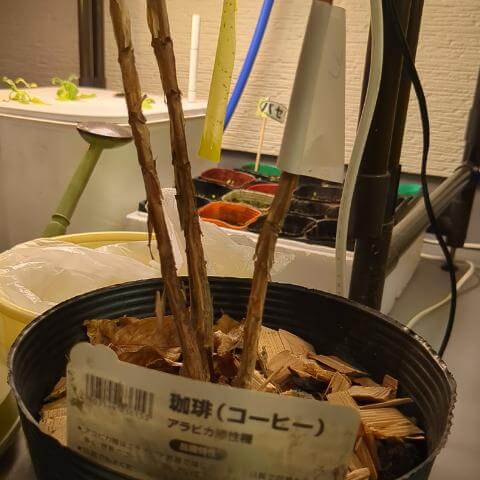 農園の秘密の園をご紹介します