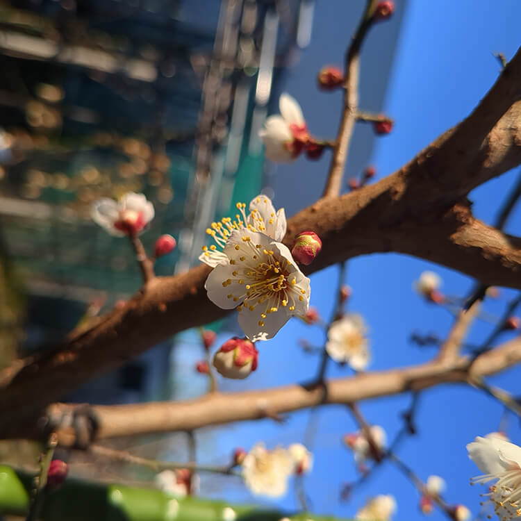 大地からは春の生命力を感じます