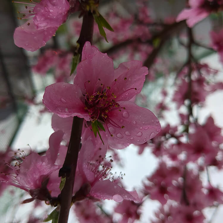 農園にも着実に春が訪れています