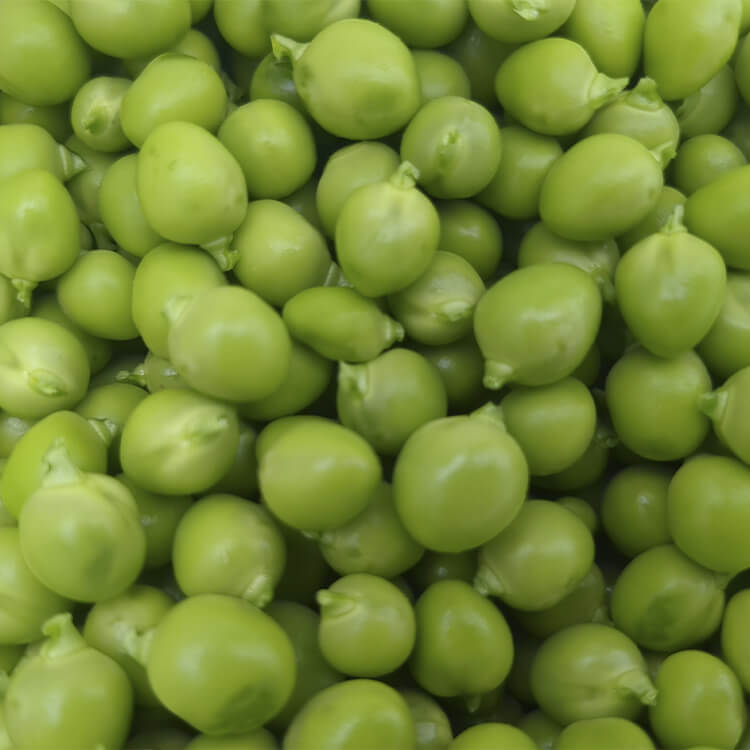 グリーンピースの豆集合