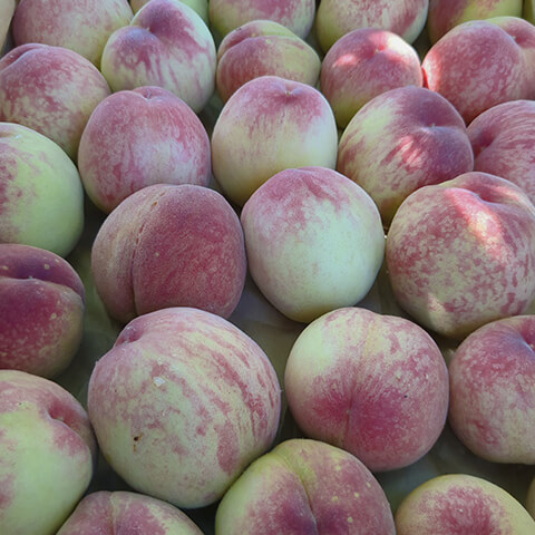 収穫した桃たち