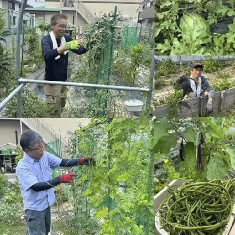 やぶ蚊に襲われる事が少なくなりました