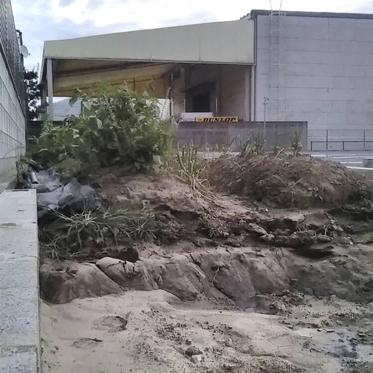 2020年11月撮影の農園東側の写真