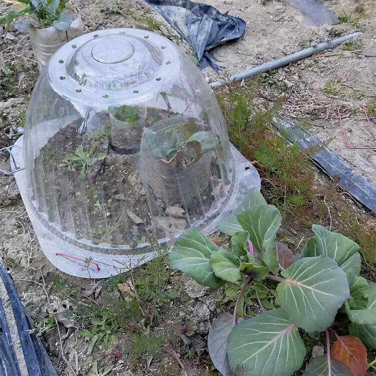 農園の防寒対策