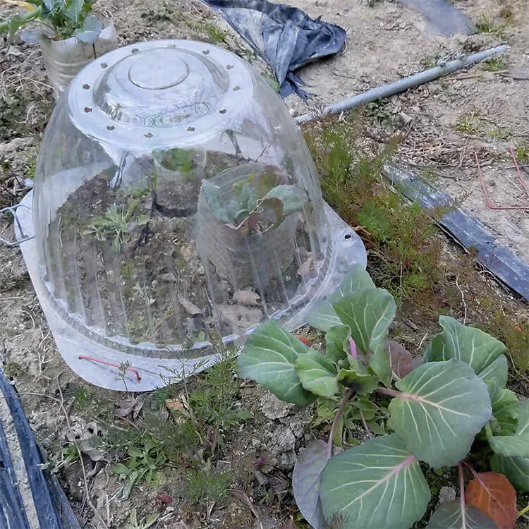 農園の防寒対策