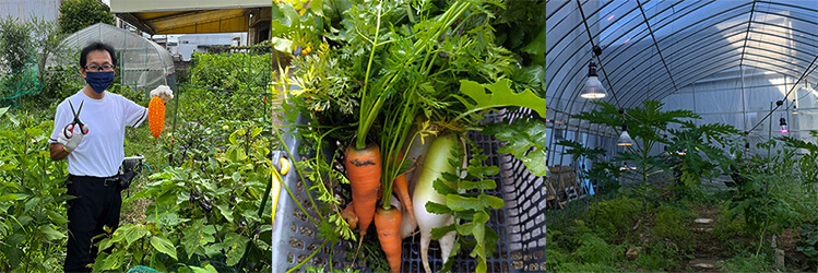 選された素材選び